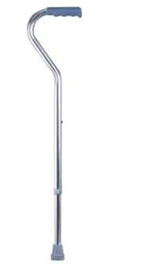 Cane